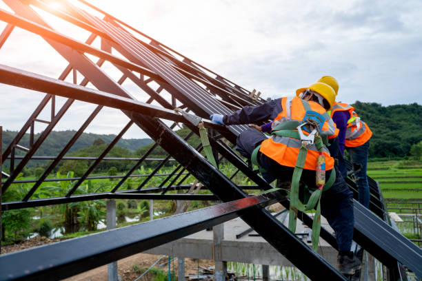 Gutter Installation and Roofing in Trinity, AL