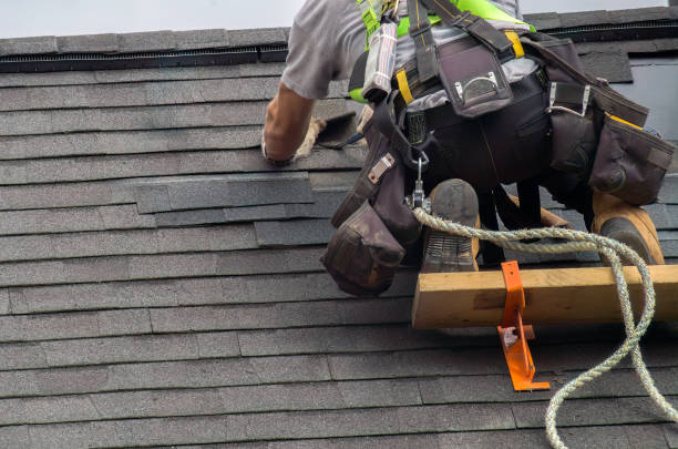 Quick and Trustworthy Emergency Roof Repair Services in Trinity, AL