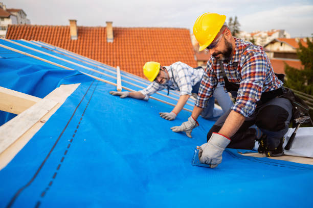 Best Roof Waterproofing Services  in Trinity, AL